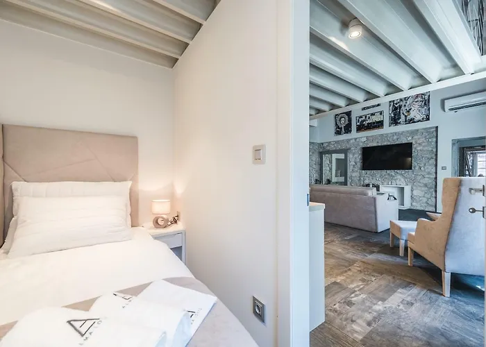 Alma Lofts 公寓 扎达尔