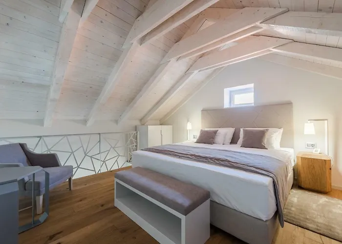 公寓 Alma Lofts 扎达尔